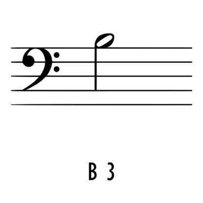 B3 Tuned Thai Gong 10" - 11"