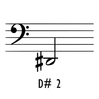 D#2 Tuned Thai Gong 30" - 32"