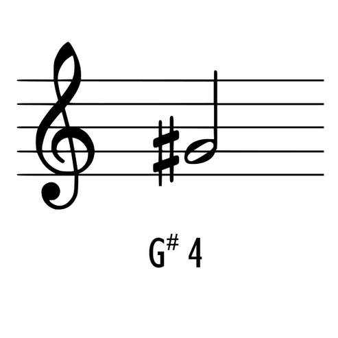 G#4 Tuned Thai Gong – The Gong Shop