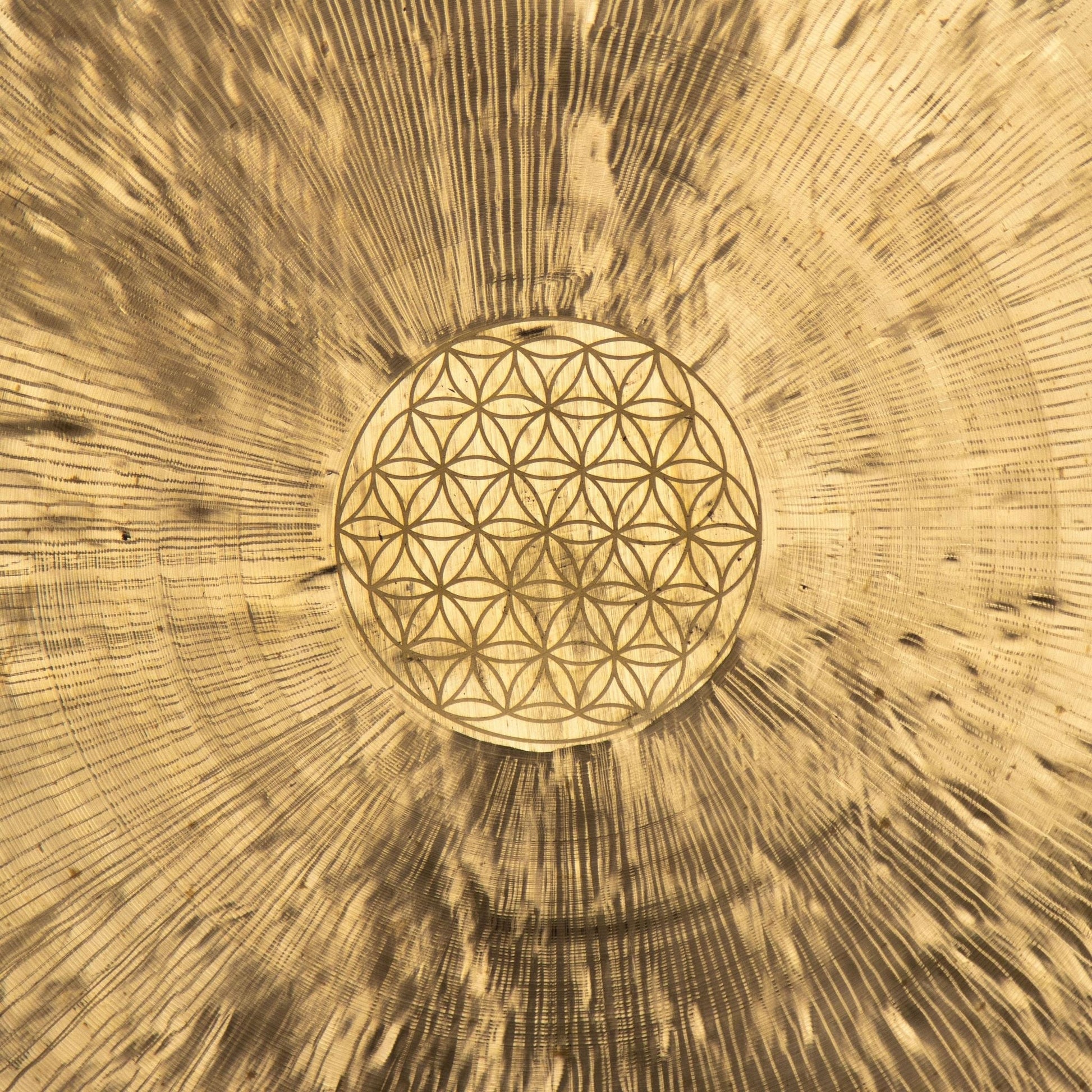 The Gong Shop Starlite Flower of Life Chau Gongs on Meinl Gong Stand